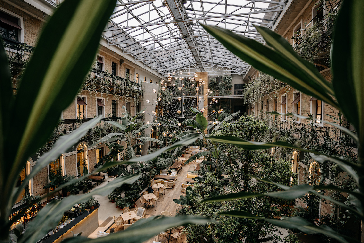 Budapest Restaurant_Twentysix(1)